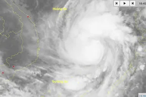 Có khả năng xuất hiện cơn bão mới sau bão số 15