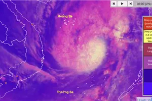 Bão số 15 đang đạt cường độ cực đại, giật cấp 15