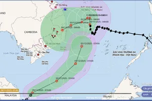 Thông tin mới nhất về hiện tượng bão số 15 và áp thấp nhiệt đới trên Biển Đông