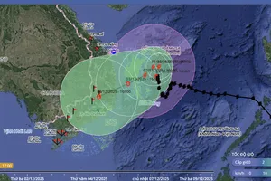 Bão số 15 giảm còn cấp 9, tàn dư của bão Senyar tan dần trên Biển Đông