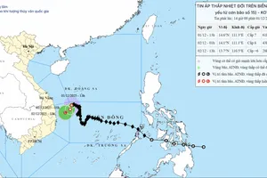 Bão số 15 suy yếu thành áp thấp nhiệt đới, cảnh báo mưa lớn ở miền Trung