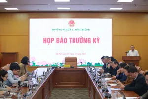 Giá rau giảm dần vì nguồn cung đang khôi phục sau bão lũ