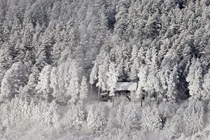 Bé gái 4 tuổi băng rừng tuyết cứu bà ngoại