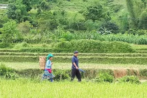 Mộc mạc chợ phiên Du Già 