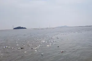 Dân Hàn lo chiến tranh thả tiền, gạo trôi về Triều Tiên