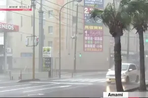 Bão lớn tràn vào Nhật Bản, 11 ngàn hộ dân bị ảnh hưởng