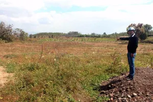 Tạm đình chỉ chủ tịch xã lấn đất công 