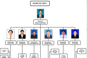 Yêu cầu kiểm điểm việc bổ nhiệm nhiều cấp phó