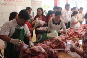 Giá heo hơi tại Bến Tre tăng ngoạn mục