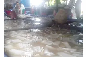 Chủ cơ sở thạch dừa tử vong thương tâm