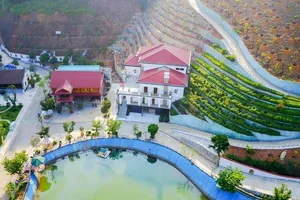 Chiều nay công bố kết luận về tài sản ông Phạm Sỹ Quý