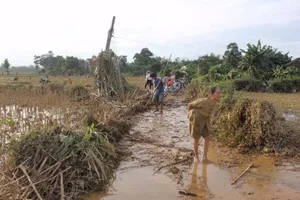 Quảng Ngãi: Phân bổ 1.000 tấn gạo cứu đói cho dân