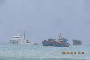 Vượt sóng to đưa tàu bị nạn về đảo Lý Sơn