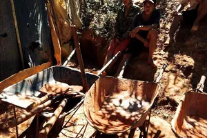 Hầm vàng hơn 100 m ngụy trang trong rẫy chanh dây