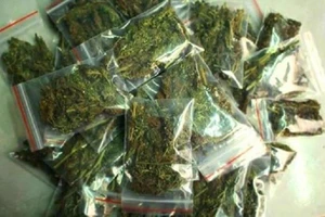Nam sinh lớp 10 mang ma túy đi bán lẻ