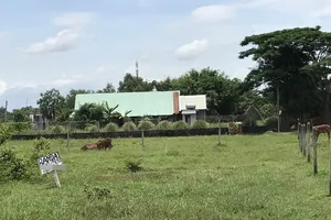 Hướng dẫn mới nhất về tách thửa tại TP.HCM