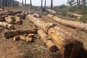 Bắt thêm người trong vụ chủ tịch xã nhận tiền ‘bảo kê’