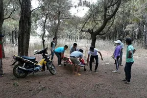 Nam thanh niên chết trong rừng thông, để thư tuyệt mệnh 