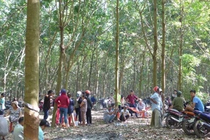 Nhóm thanh niên chích điện, cắt tai con nợ