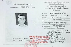 Cách mọi chức vụ trong Đảng 1 lãnh đạo HĐND vì xài bằng giả