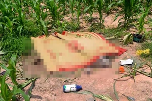 Đôi nam nữ chết bên 2 chai thuốc trừ sâu