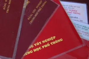 Huyện Lý Sơn: Hồ sơ hàng chục cán bộ xã không đủ bằng cấp