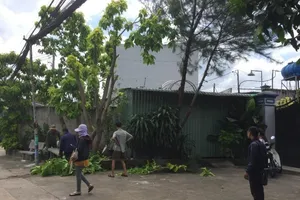 Người đàn ông chết trong tư thế treo cổ bên đường ở Hóc Môn