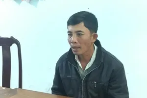 Người trồng 2.000 m2 cần sa khai là để cho gà ăn