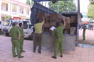 Phát hiện xe tải chở 31 hộp gỗ lậu trong đêm