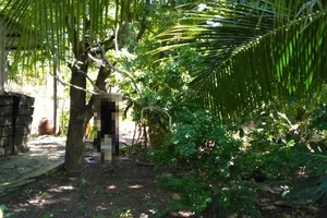 Thi thể người đàn ông trong tư thế treo cổ trên cây me