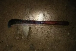 Trộm than, dùng dao quắm chém bảo vệ ​