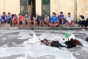 Phó Bí thư An Giang nói về con trai đá gà, nghiện ma túy 