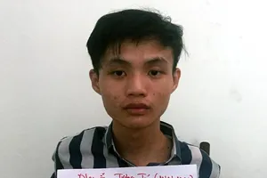 Bắt nghi phạm trong vụ trộm 8,5 tỉ ở TP.HCM