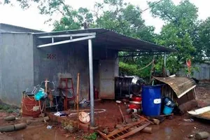 Một phụ nữ tử vong vì dây điện đứt lúc trời mưa