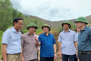 Phó Thủ tướng lý giải việc chưa dùng trực thăng chữa cháy rừng