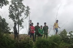 Vào nhà chủ nợ khiêng két sắt mang đi