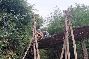 Bình Thuận yêu cầu kiểm tra vụ người chết do lọt cầu