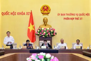 Nhà nước chia sẻ rủi ro doanh thu với nhà đầu tư ở dự án PPP