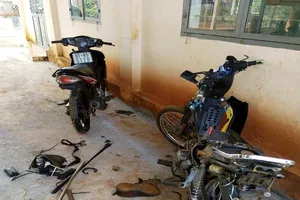 Nghi phạm trộm chó tử vong, công an lấy lời khai 100 người