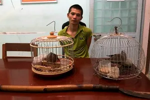 Mang dao đến nhà đối thủ trộm 2 con cu đất