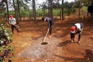 Nhóm thiếu niên đua xe bị phạt cuốc đất trồng cây 