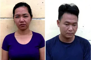 Bắt nhóm lái ô tô liên tục đi trộm 23 con bò