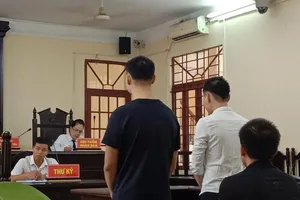 Tài xế xe tải hùn tiền để ‘thử phê ma túy’