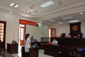 Nữ bị cáo ở chung khách sạn với 3 nam bàn chuyện lừa đảo