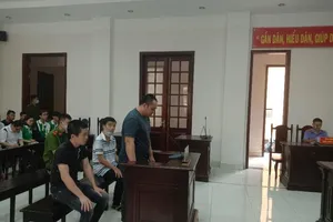 Sinh viên luật dự khán phiên tòa về ma túy