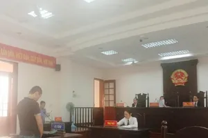 Mua bán bằng cấp giả như mua bán rau