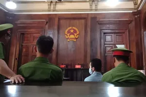 Thiếu niên lãnh án vì giật điện thoại của người nước ngoài 