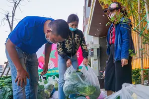 Người Đà Nẵng chung tay giải cứu nông sản Hải Dương