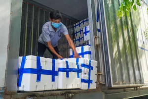  Người Đà Nẵng thuê xe tải, đội nắng mua vải thiều hỗ trợ nông dân Bắc Giang