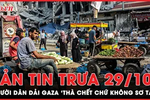 Bản tin trưa 29-10: Tại sao lượng lớn dân bắc Gaza quyết không sơ tán về phía nam? 